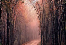 必赢亚洲官网:足球——意甲:亚特兰大胜恩波利.