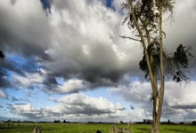 必赢亚洲官网:国足第四个主场确定为杭州,明年3月25日迎战澳大利亚队@北京日报.