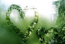 必赢亚洲官网:足球——意甲:亚特兰大胜恩波利.