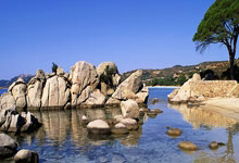 必赢亚洲官网:国足主帅伊万现场观战国安vs蓉城,两队均拥有多位国脚.